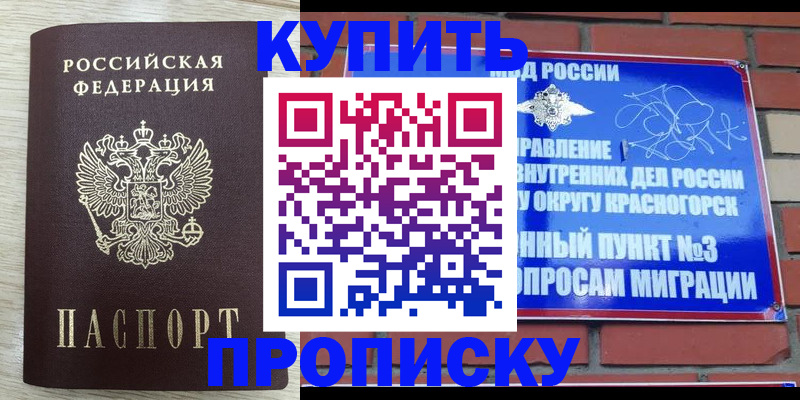 прописка гарантия в Балтийске